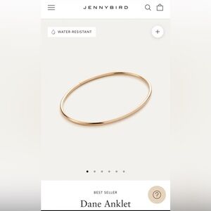 Jenny Bird 14k Gold Ankle Bracelet - Dane Anklet
